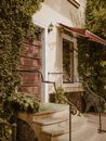 Residential house doorway with staircase and overgrown plants