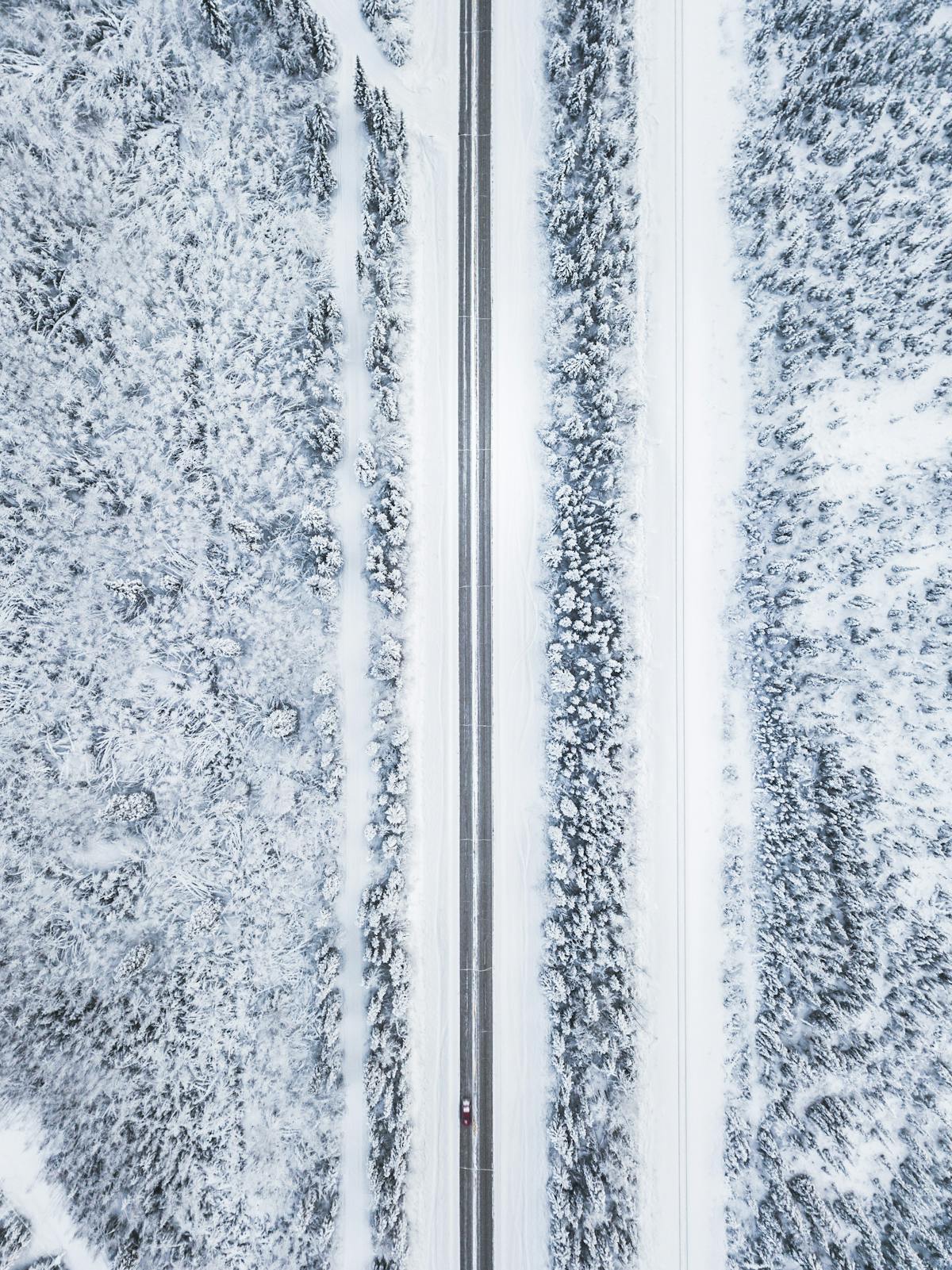 Snow covered landscape in Saskatchewan