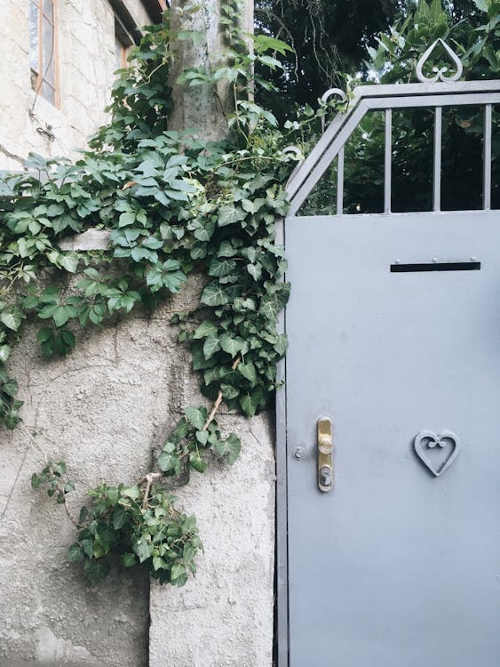 Entrance of old residential house in daylight