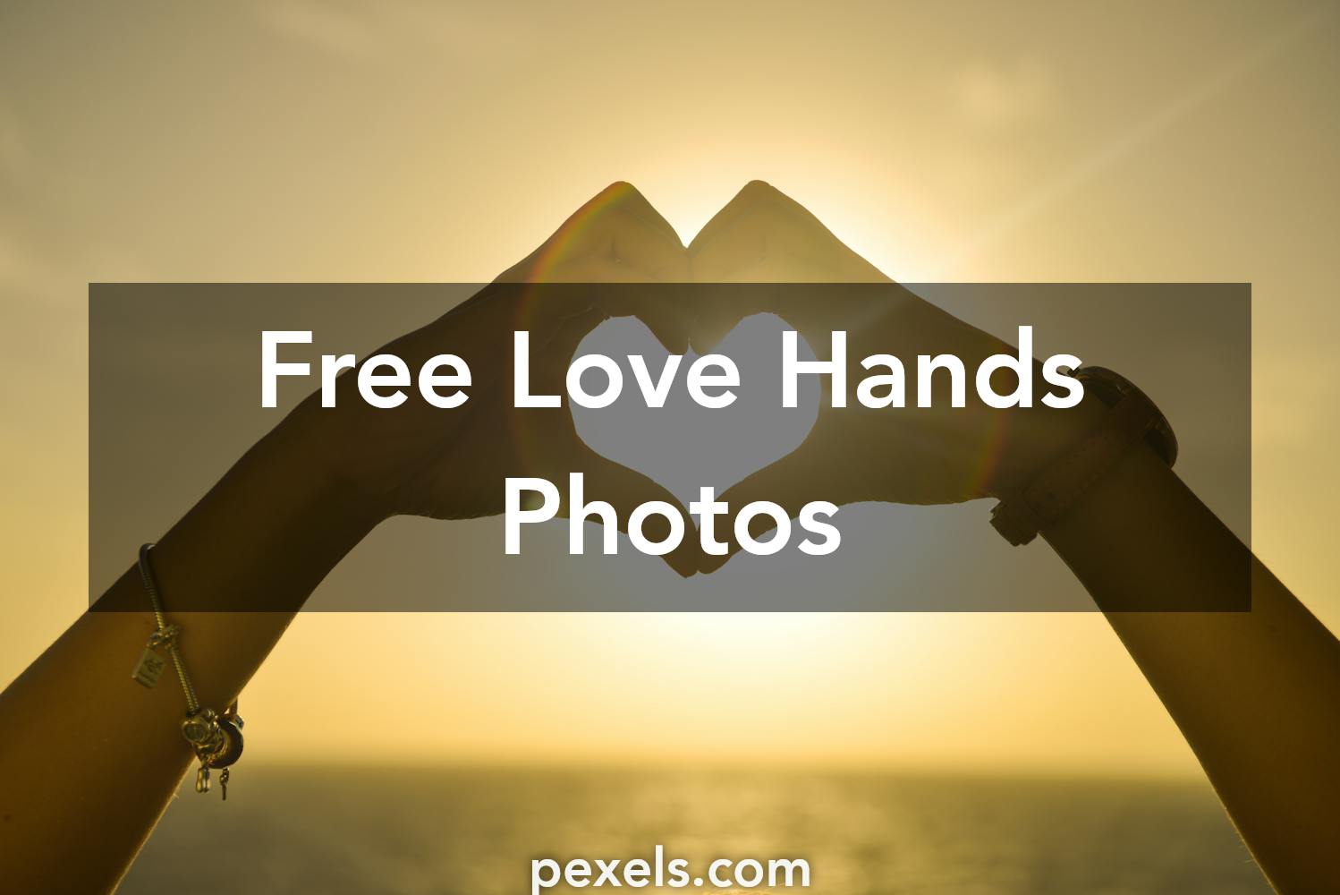 1000 Great Love  Hands Photos  Pexels   Free Stock Photos