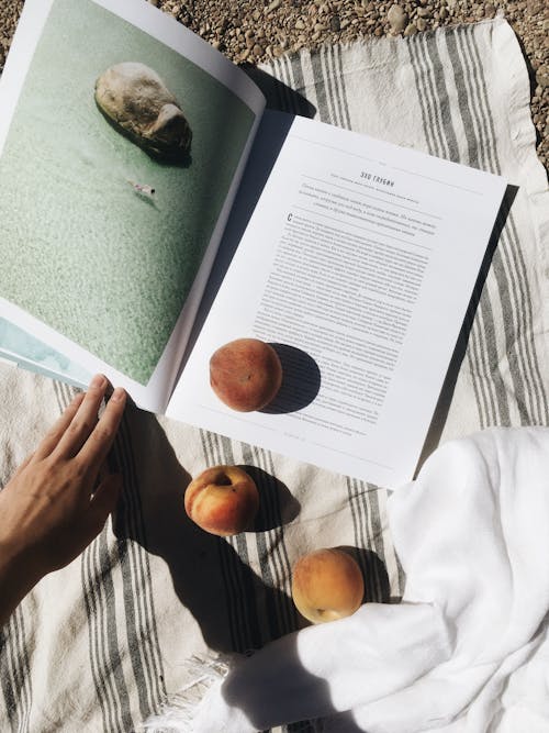 Free From above of crop unrecognizable traveler reading interesting book while relaxing on beach with ripe peaches on sunny day Stock Photo