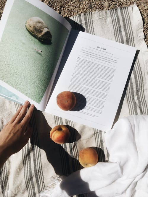 Corte Uma Pessoa Sem Rosto Sentada Em Um Cobertor Na Praia Com Pêssegos E Lendo Um Livro Didático