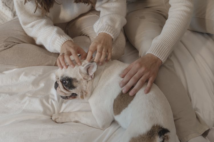 A Couple Cuddling Their Cute Dog