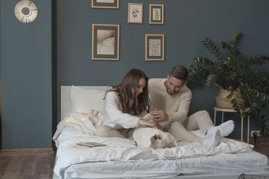 一对恩爱的夫妇和他们的狗在时尚卧室的舒适床上相拥