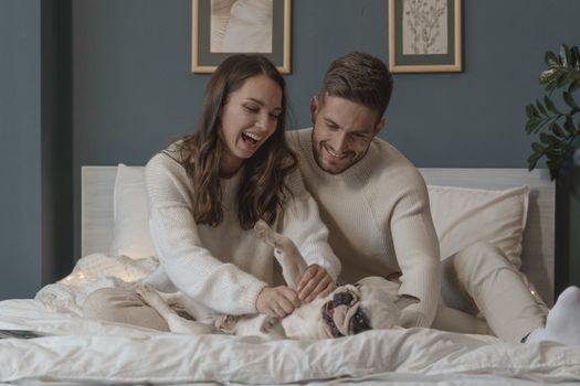 夫妇在床上笑着抚摸他们的法国斗牛犬，捕捉温暖和幸福的瞬间