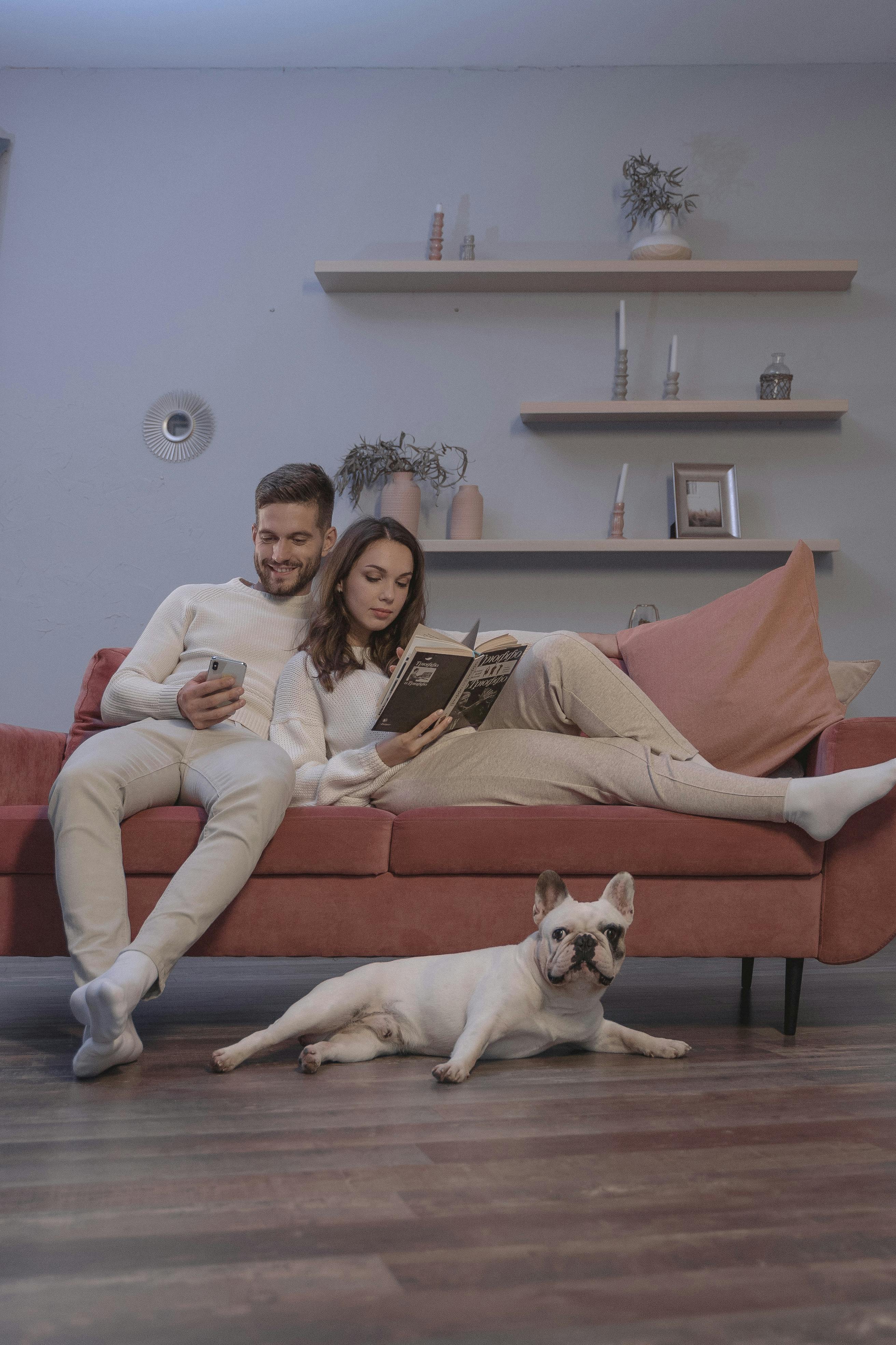 Stress-Free Dog Boarding Alternatives in 2026