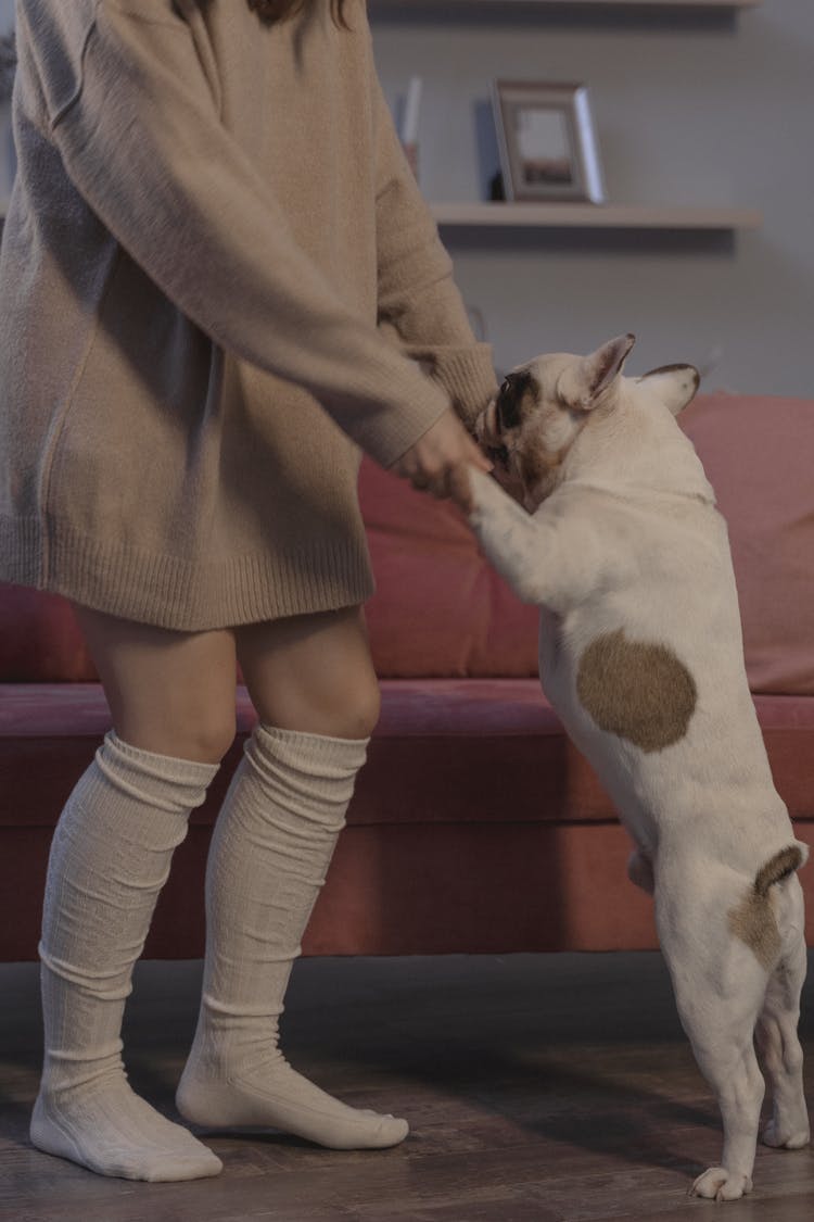 A Woman Dancing Together With Her Pet Dog