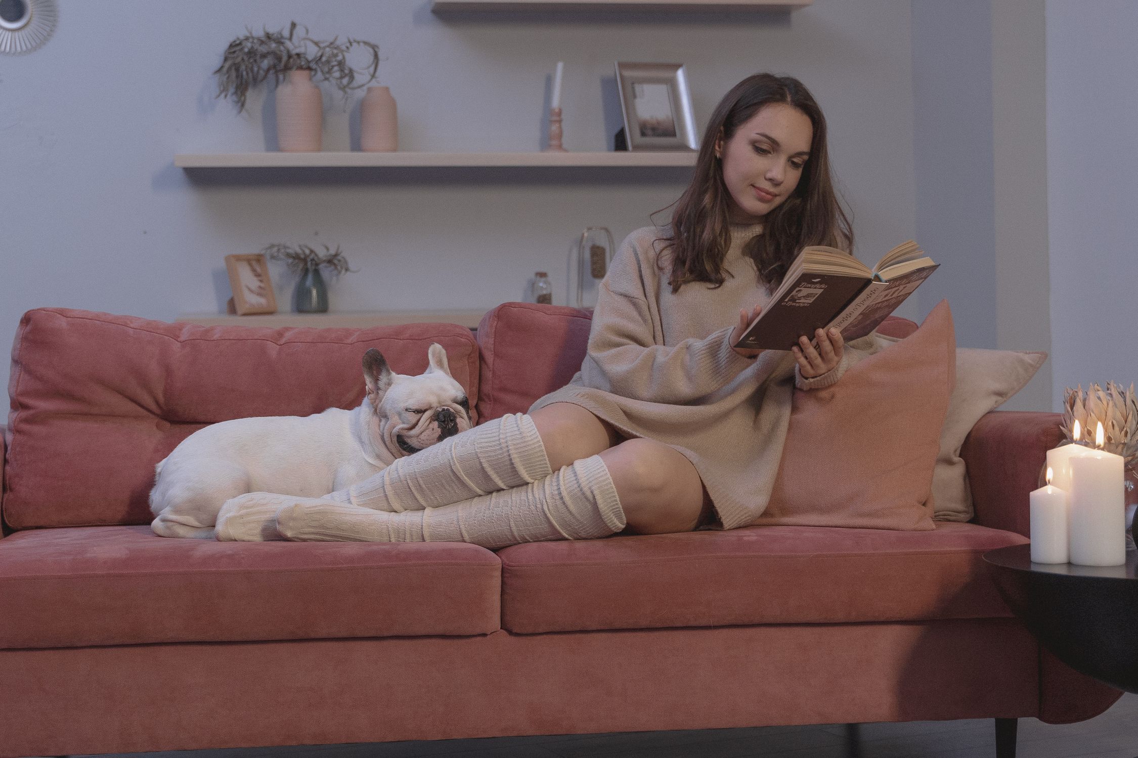 How to Keep Your Dog Comfortable and Secure With Dog Kennel and Runs How to Keep Your Dog Comfortable and Secure With Dog Kennel and Runs