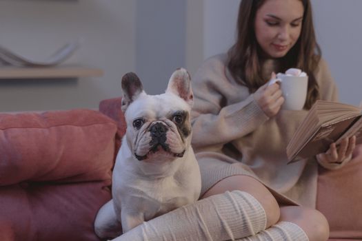 女人在舒适的沙发上，一边阅读，一边欣赏着陶瓷杯和法国斗牛犬