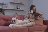 女人在沙发上，一边看书一边喝热饮，身旁还陪伴着一只法国斗牛犬