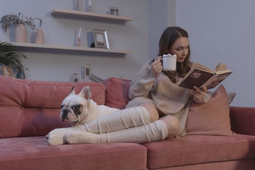女人在沙发上，一边看书一边喝热饮，身旁还陪伴着一只法国斗牛犬