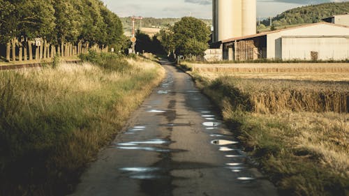 White Cabin Beside Road in Forest