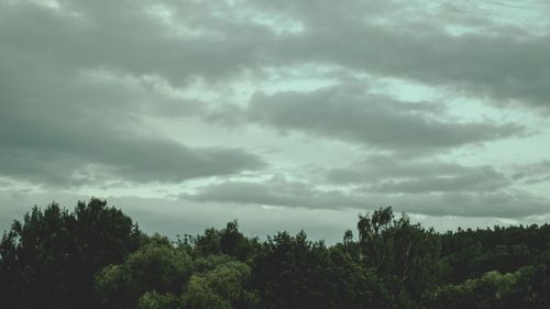 Free Dramatic overcast sky with dark clouds looming over a dense, tranquil forest scene. Stock Photo