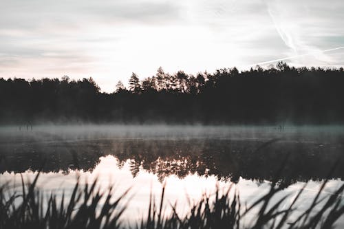 Základová fotografie zdarma na téma fotografie přírody, jezero, mlha