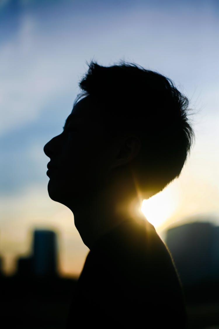 Silhouette Of A Mans Head Against Sky