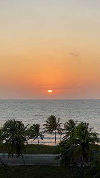 Experience a tranquil tropical sunset with palm trees swaying along the ocean's horizon.