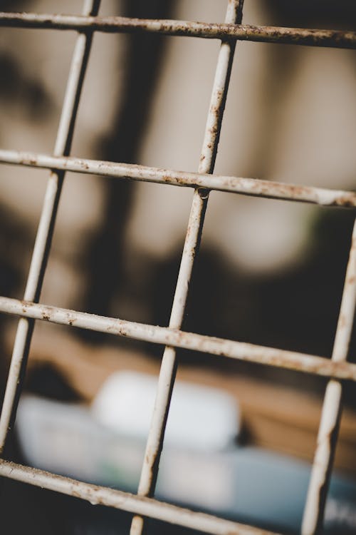 Free Close-Up Photo of Rusty Wire Mesh Stock Photo