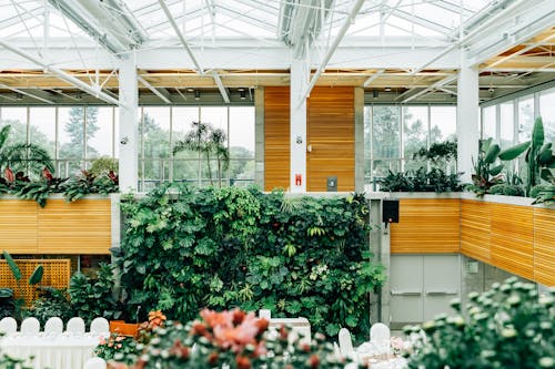 Fotobanka s bezplatnými fotkami na tému architektonický dizajn, botanický, displej