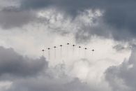Birds Flying Under White Clouds