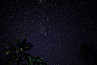 夜空繁星点点，被棕榈树的轮廓框住