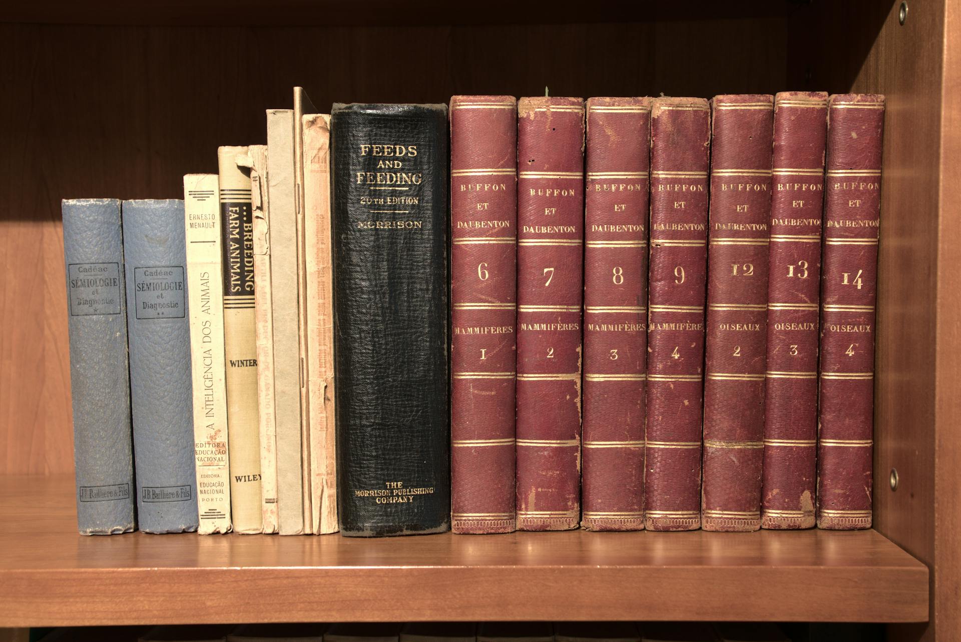 A collection of vintage hardcover books neatly arranged on a wooden shelf, showcasing antique literature.