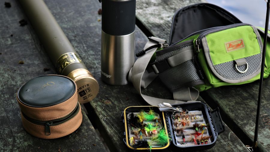 Saltwater Fishing for Beginners: Gear, Timing, and Where to Cast