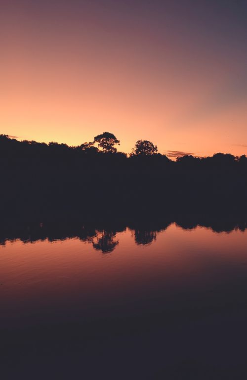 Free A stunning reflection of silhouetted trees at sunset, creating a serene and symmetrical scene. Stock Photo