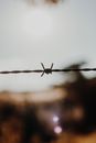 Black Barbwire in Tilt Shift Lens