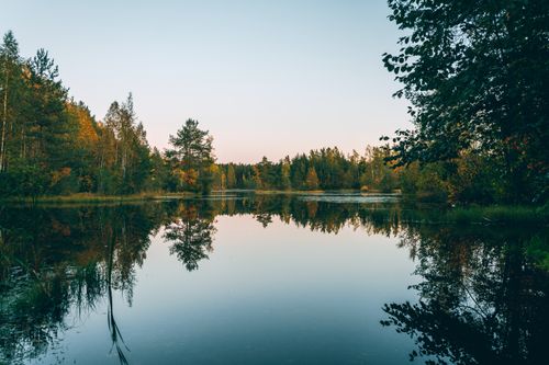 Free Picturesque view of overgrown lush trees reflecting in water under light sky in fall season Stock Photo