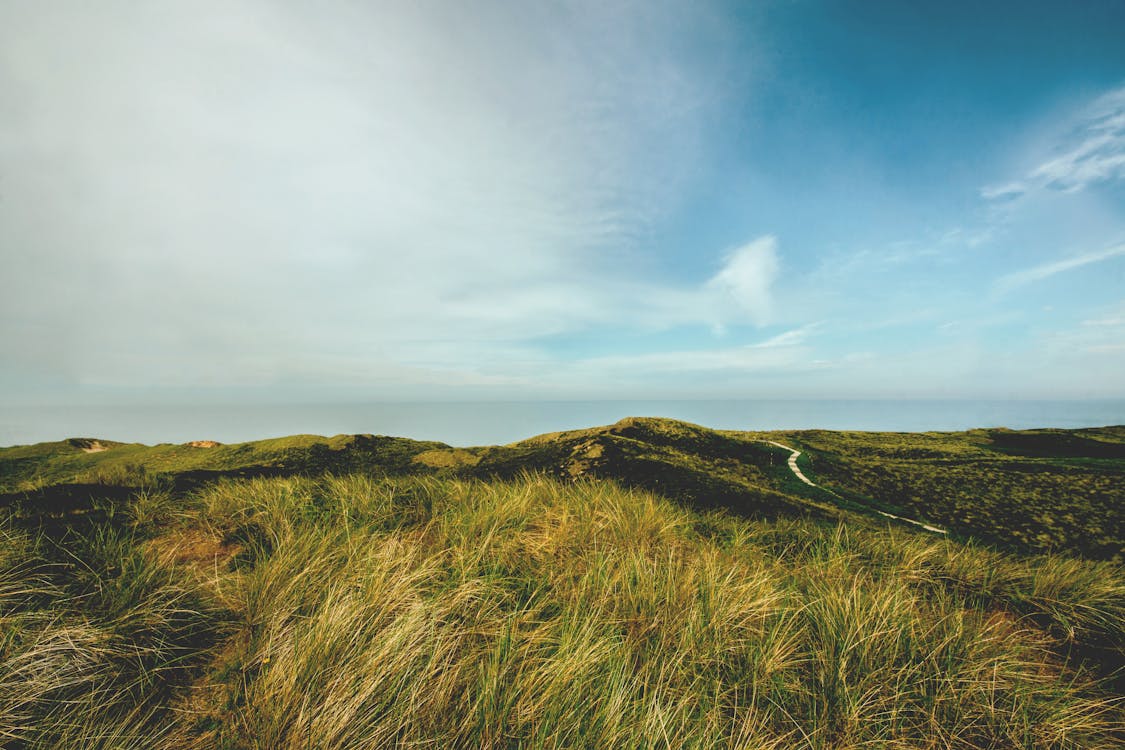 Gratis lagerfoto af agerjord, bakke, bane