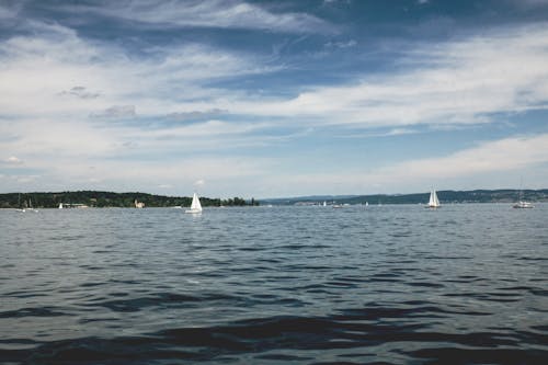 Free stock photo of boats, cloudy sky, sailboats