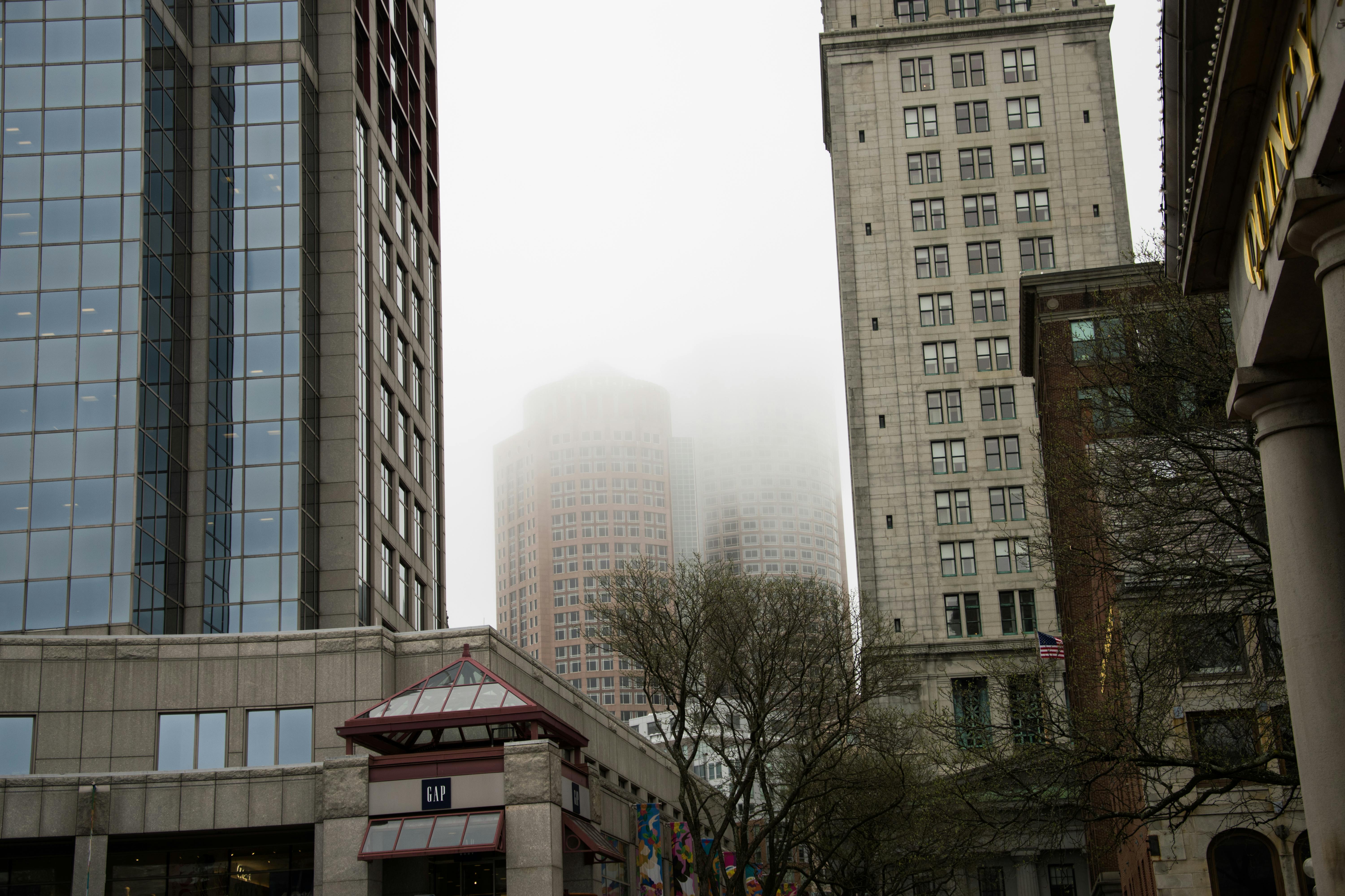 Free stock photo of buildings, city, fog