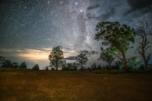 Foto d'estoc gratuïta de a l'aire lliure, arbres, astrofotografia