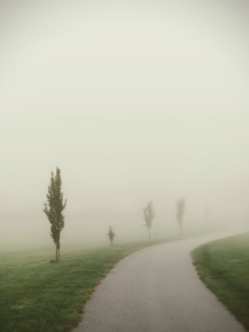 Free A Foggy Pathway Stock Photo
