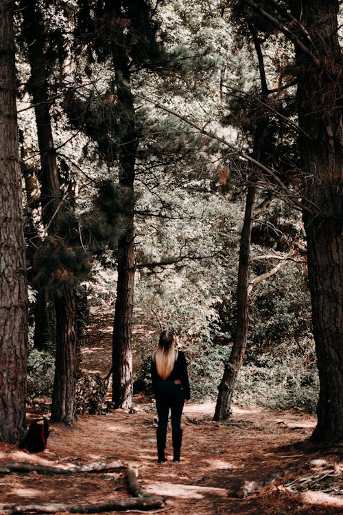 Woman in Black Long Sleeve and Pants Standing in the Middle of Forest