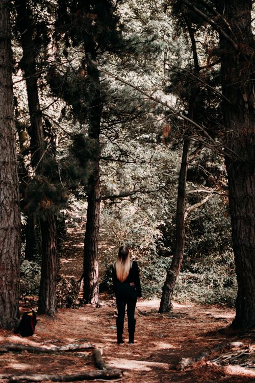Free A woman with blonde hair walks through a serene forest, surrounded by tall trees. Stock Photo