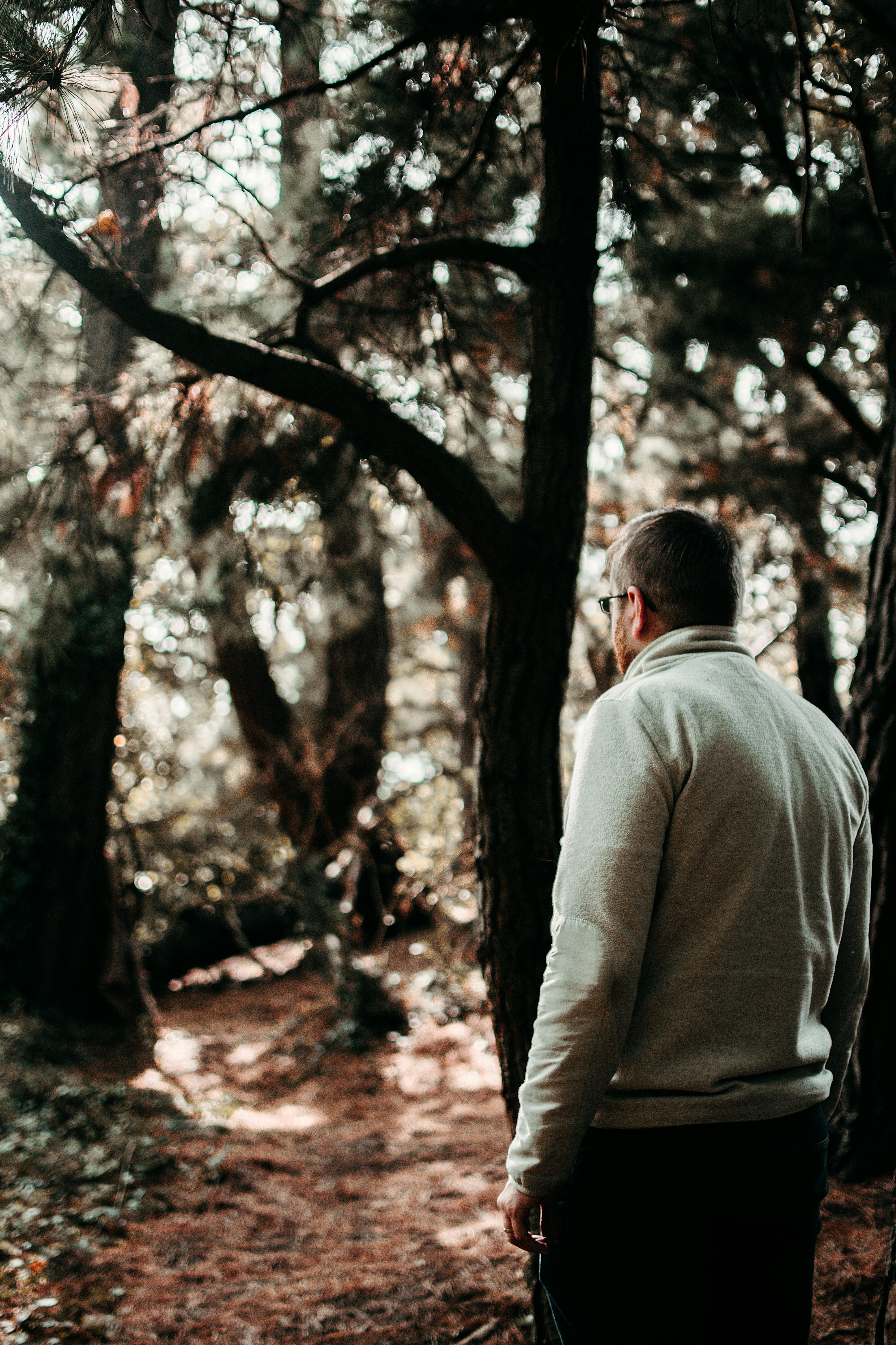 A man in a gray jacket stands in a lush forest, capturing the essence of a calm autumn day.