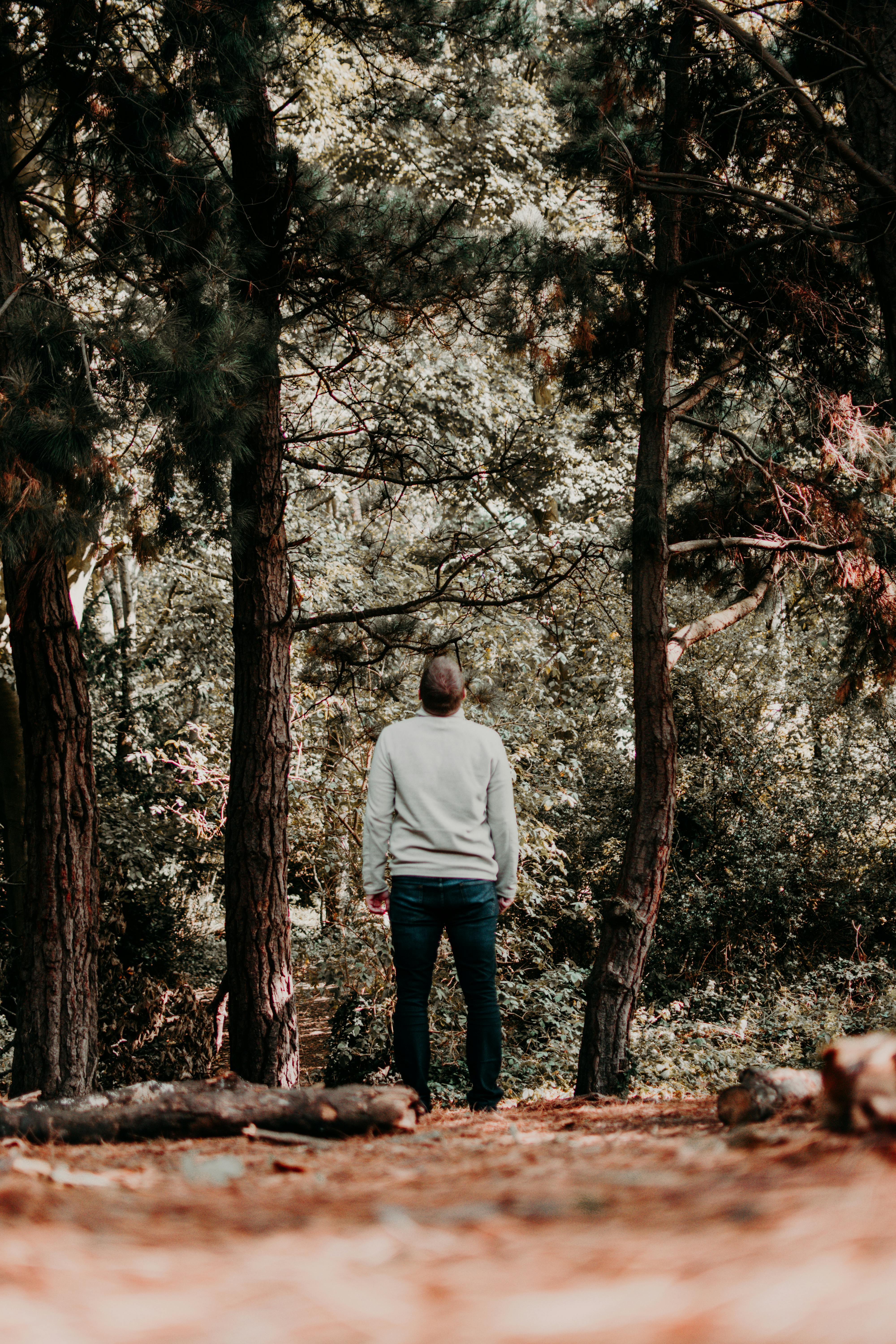 A man in a gray sweater stands in a forest looking up at the trees, symbolizing introspection.