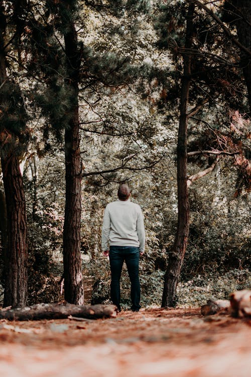 Man in Gray Sweatshirt Standing Near Trees Looking Up 