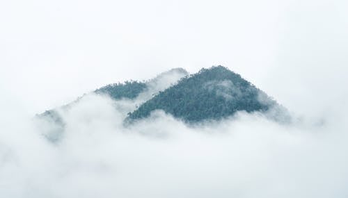 Free Fog covering mountains with lush trees Stock Photo