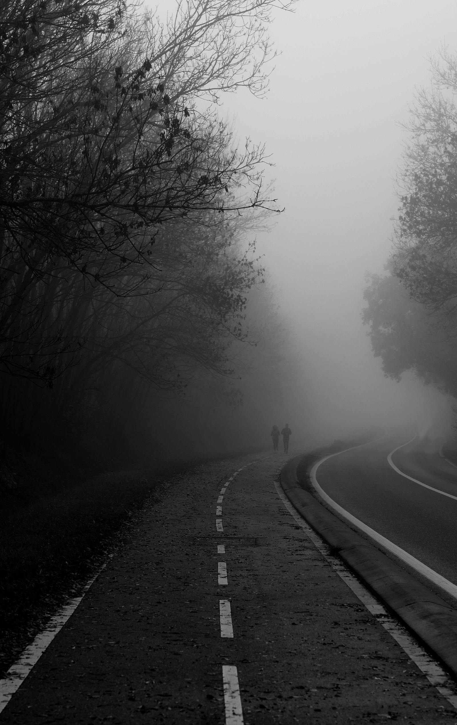 Misty road with silhouettes of people, surrounded by fog and bare trees creating a mysterious atmosphere.