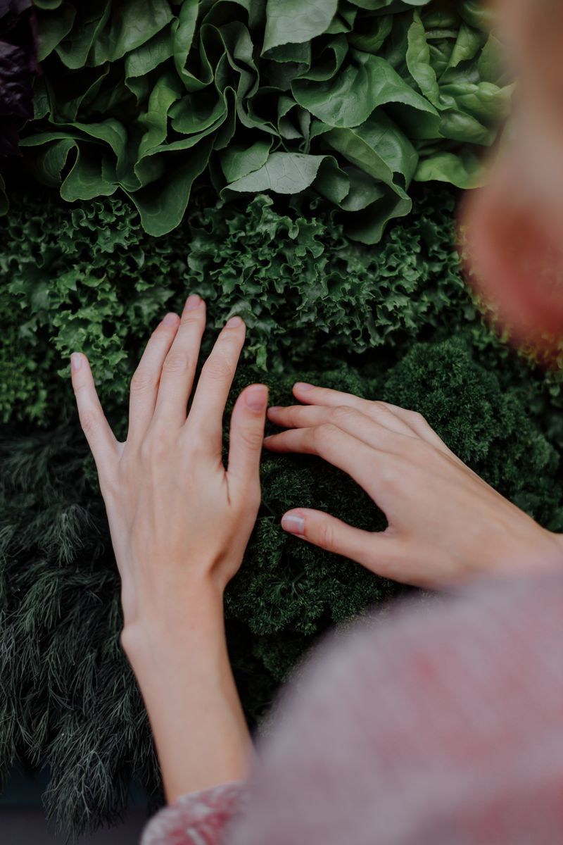 Hands gently touching vibrant green leafy vegetables