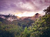 雾气弥漫的丛林郁郁葱葱，远处山脉上日出五彩缤纷