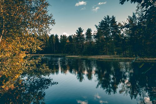 Free Scenery view of rippled lake reflecting overgrown trees under cloudy sky in autumn in daylight Stock Photo