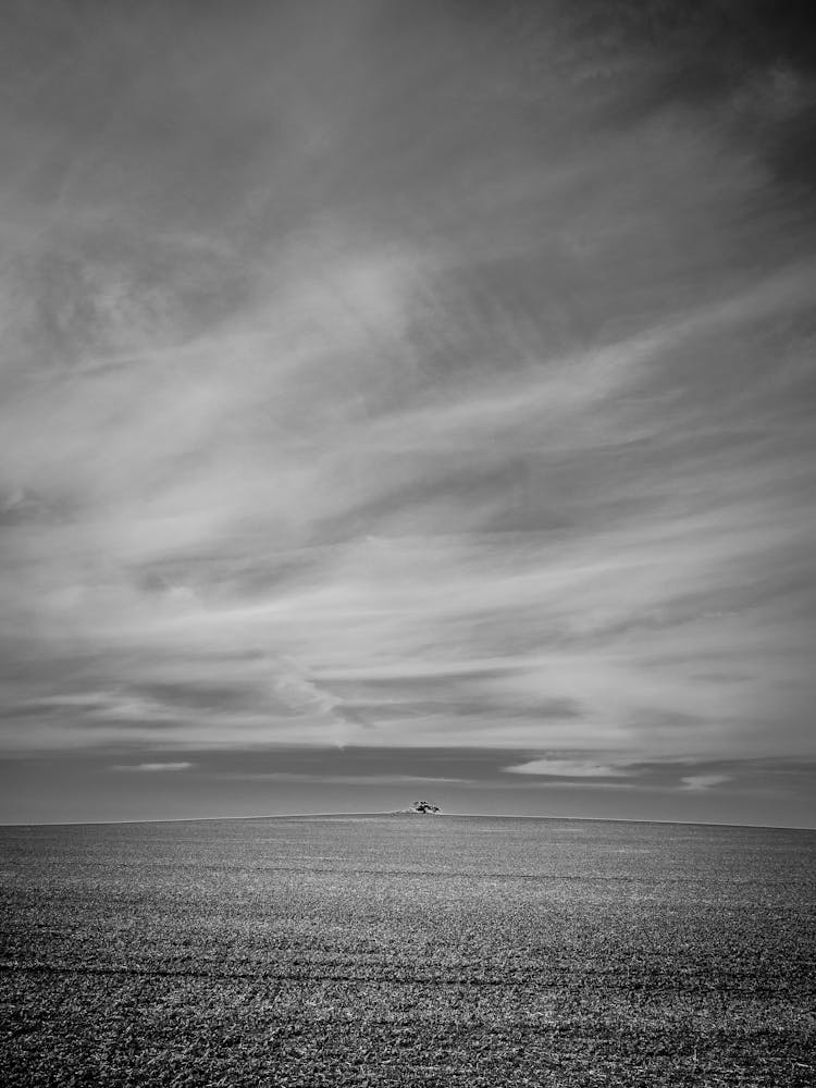 Sky Above Stubble Field