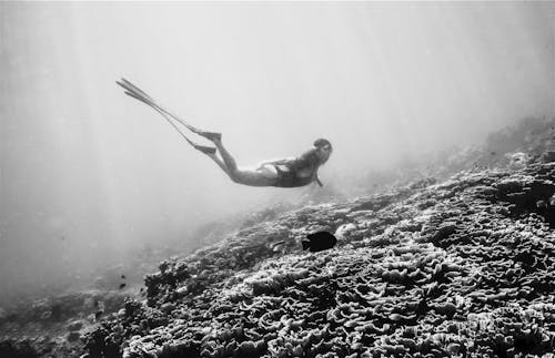 Free Diver on Sea Bottom Stock Photo