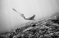 Man in Black Shorts in Water