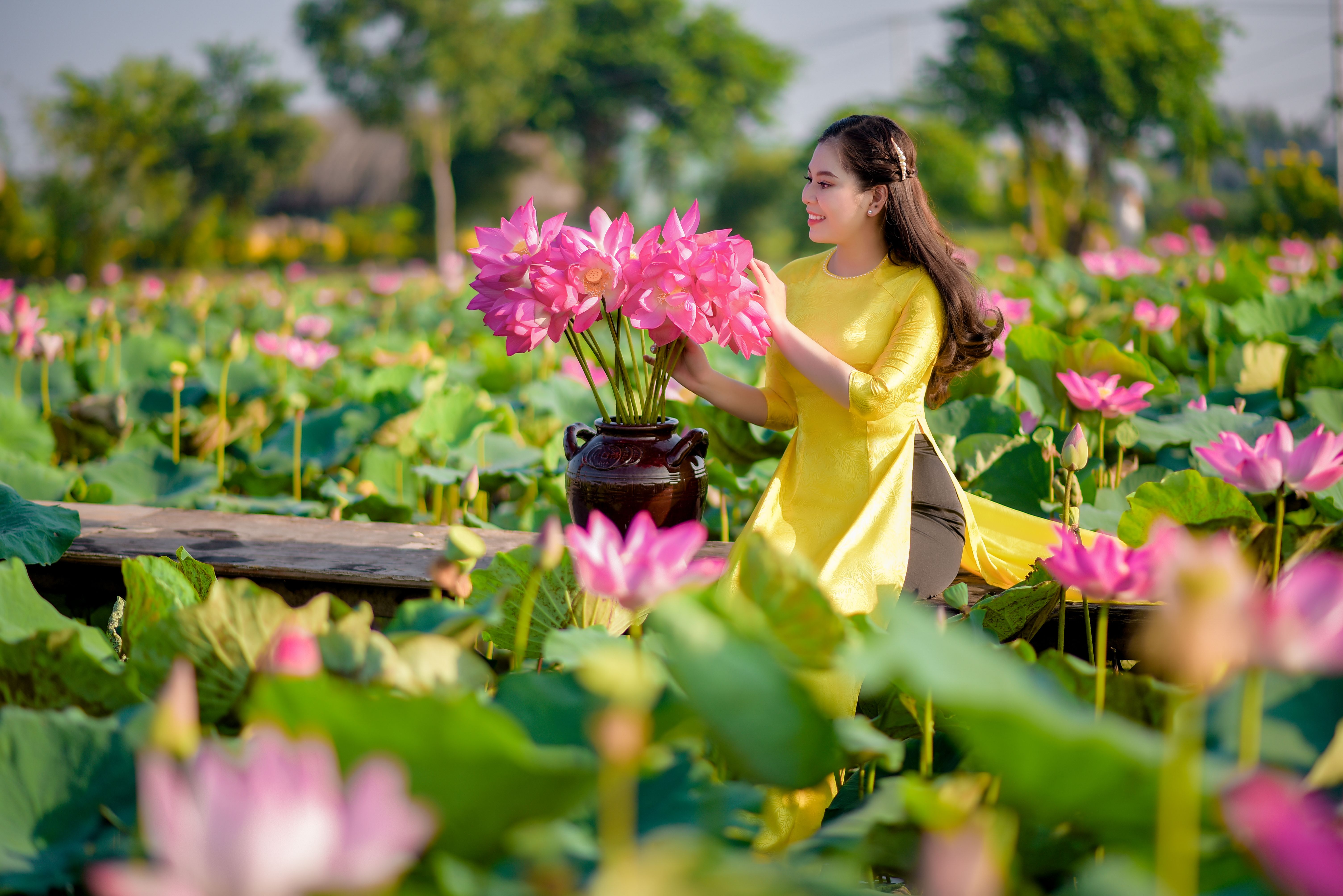 Fleur de lotus : Guide culture complète