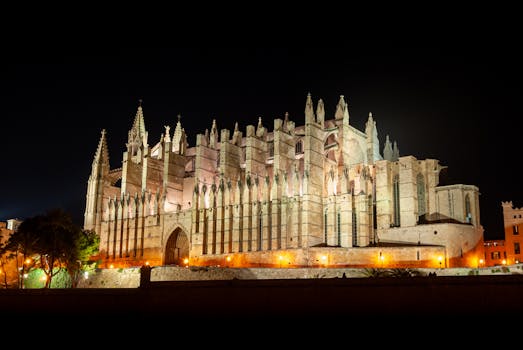 Stunning view of the Gothic-style Palma Cathedral illuminated against the night sky.