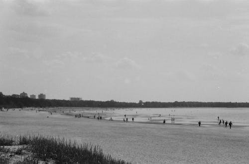 Fotos de stock gratuitas de arena, blanco y negro, costa